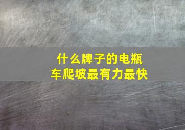 什么牌子的电瓶车爬坡最有力最快