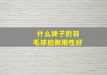 什么牌子的羽毛球拍耐用性好