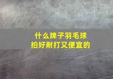 什么牌子羽毛球拍好耐打又便宜的