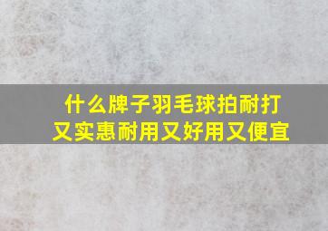 什么牌子羽毛球拍耐打又实惠耐用又好用又便宜