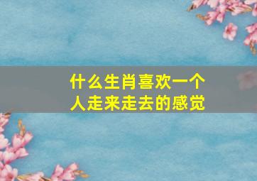 什么生肖喜欢一个人走来走去的感觉