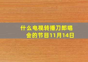 什么电视转播刀郎唱会的节目11月14日