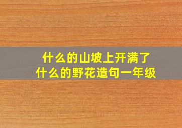 什么的山坡上开满了什么的野花造句一年级