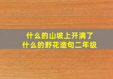 什么的山坡上开满了什么的野花造句二年级