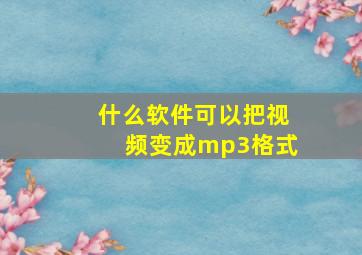 什么软件可以把视频变成mp3格式