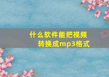 什么软件能把视频转换成mp3格式