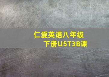 仁爱英语八年级下册U5T3B课