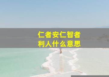 仁者安仁智者利人什么意思