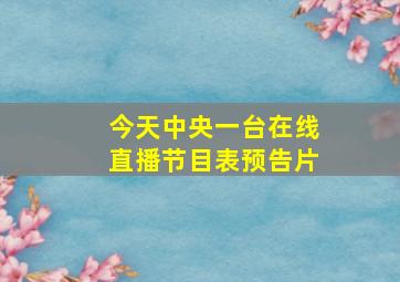 今天中央一台在线直播节目表预告片