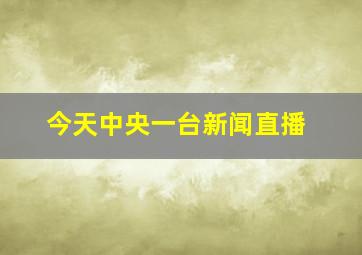 今天中央一台新闻直播