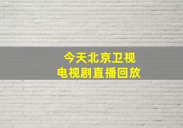 今天北京卫视电视剧直播回放