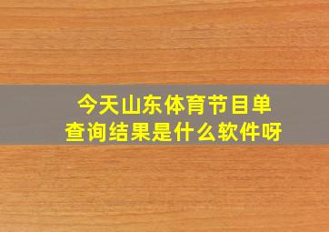 今天山东体育节目单查询结果是什么软件呀