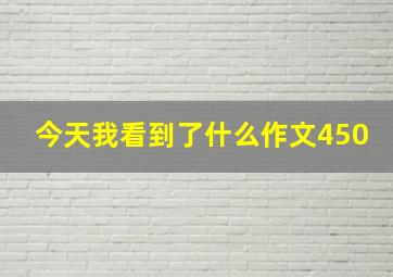 今天我看到了什么作文450