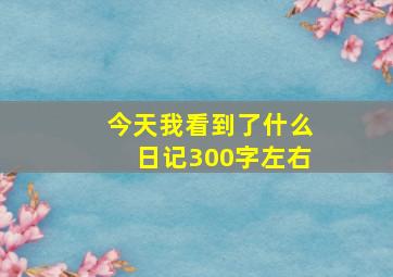 今天我看到了什么日记300字左右