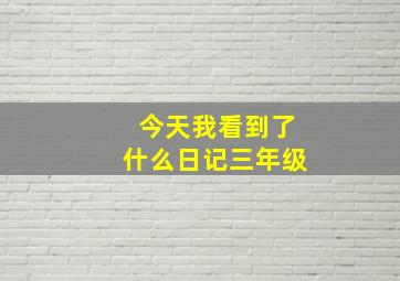 今天我看到了什么日记三年级