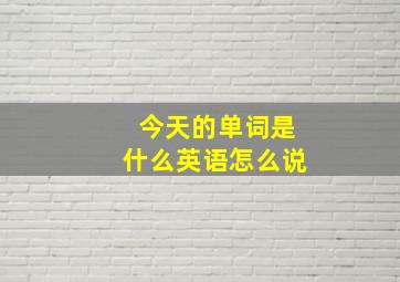 今天的单词是什么英语怎么说