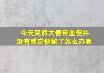 今天突然大便带血但并没有感觉便秘了怎么办呢