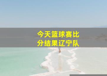 今天篮球赛比分结果辽宁队