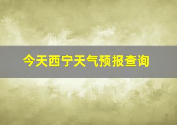 今天西宁天气预报查询