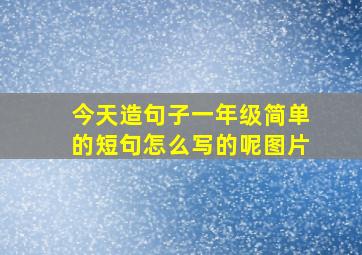 今天造句子一年级简单的短句怎么写的呢图片