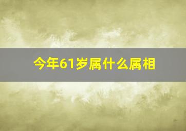 今年61岁属什么属相