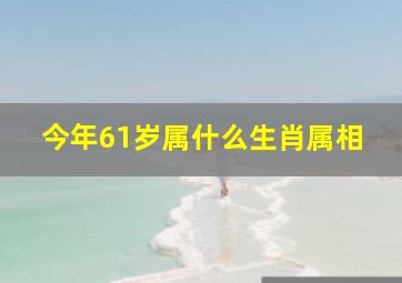 今年61岁属什么生肖属相