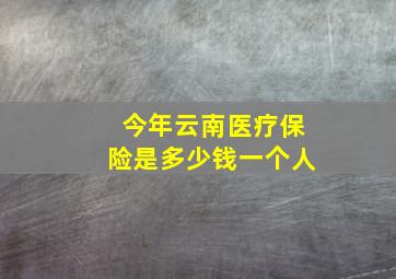 今年云南医疗保险是多少钱一个人