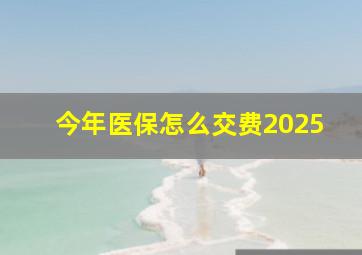 今年医保怎么交费2025