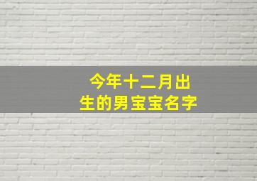 今年十二月出生的男宝宝名字