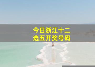 今日浙江十二选五开奖号码