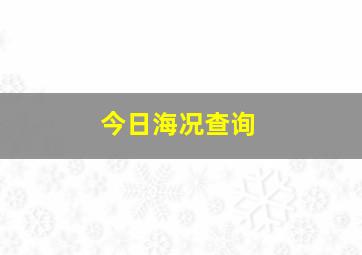 今日海况查询