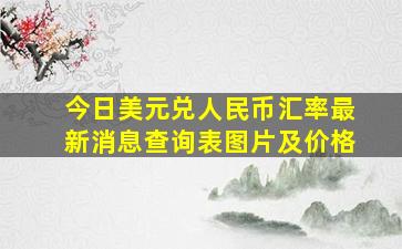 今日美元兑人民币汇率最新消息查询表图片及价格