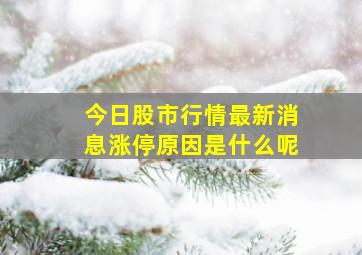 今日股市行情最新消息涨停原因是什么呢