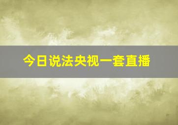 今日说法央视一套直播