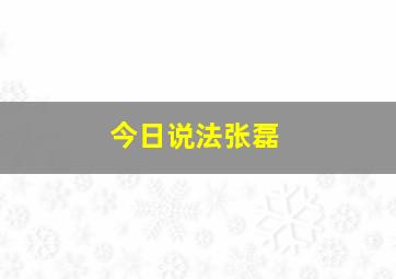 今日说法张磊