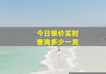 今日银价实时查询多少一克