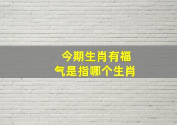 今期生肖有福气是指哪个生肖