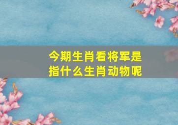 今期生肖看将军是指什么生肖动物呢