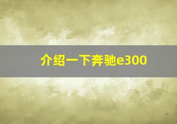 介绍一下奔驰e300