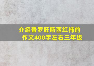 介绍普罗旺斯西红柿的作文400字左右三年级