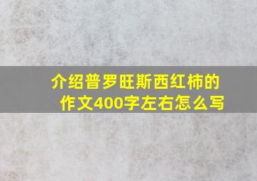 介绍普罗旺斯西红柿的作文400字左右怎么写