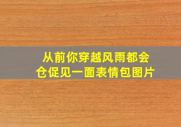 从前你穿越风雨都会仓促见一面表情包图片