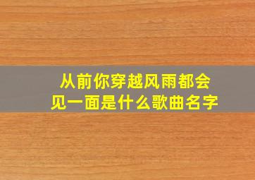 从前你穿越风雨都会见一面是什么歌曲名字