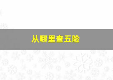 从哪里查五险