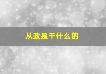 从政是干什么的