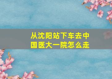 从沈阳站下车去中国医大一院怎么走