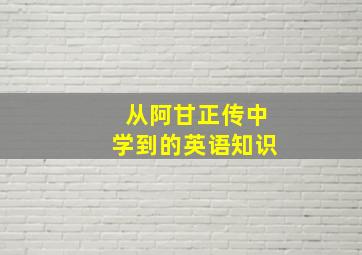 从阿甘正传中学到的英语知识