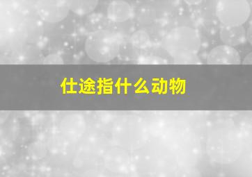 仕途指什么动物