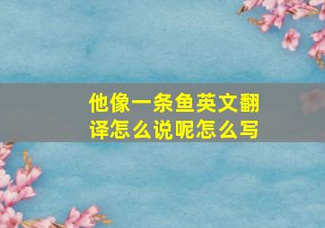 他像一条鱼英文翻译怎么说呢怎么写