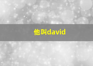 他叫david